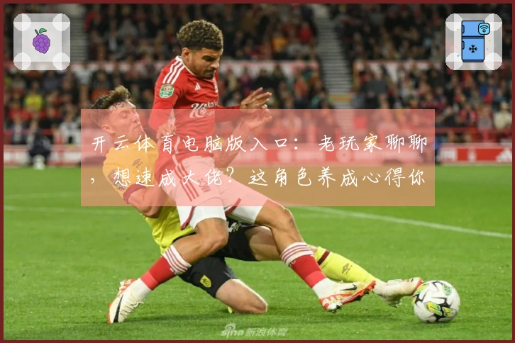 开云体育电脑版入口:老玩家聊聊,想速成大佬?这角色养成心得你得知道!