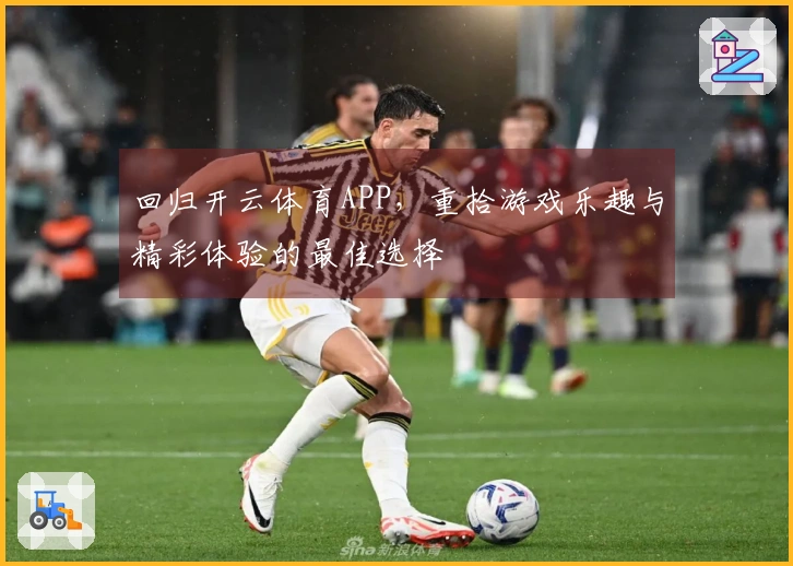 回归开云体育APP，重拾游戏乐趣与精彩体验的最佳选择