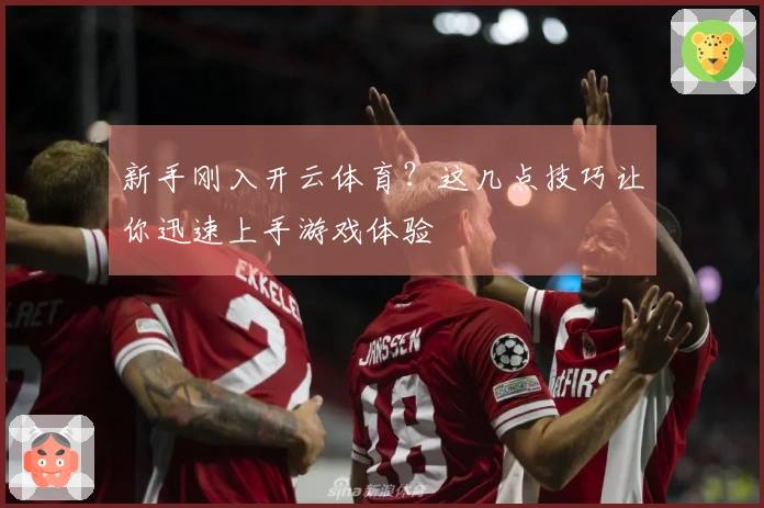 新手刚入开云体育？这几点技巧让你迅速上手游戏体验