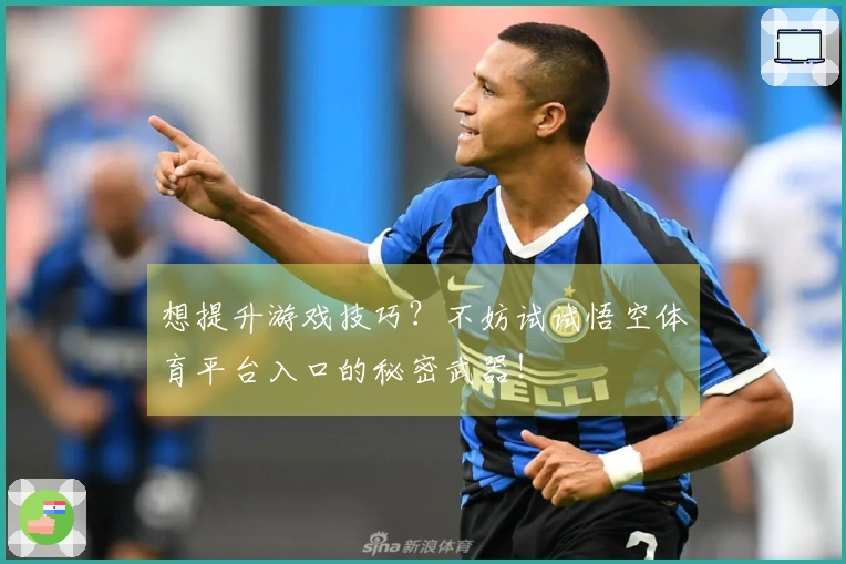 想提升游戏技巧？不妨试试悟空体育平台入口的秘密武器！