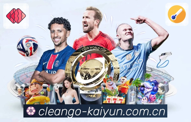 阶段专题延伸阅读